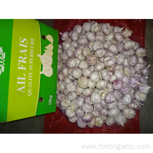 Good Quality New Crop Fresh Garlic Of 2019